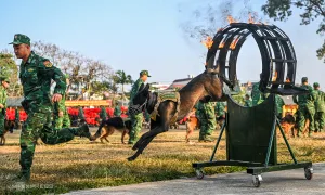 Chín tháng khổ luyện của quân khuyển biên phòng